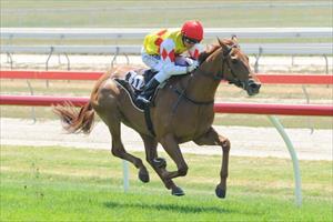 Well-bred filly has Oaks Day in her sights